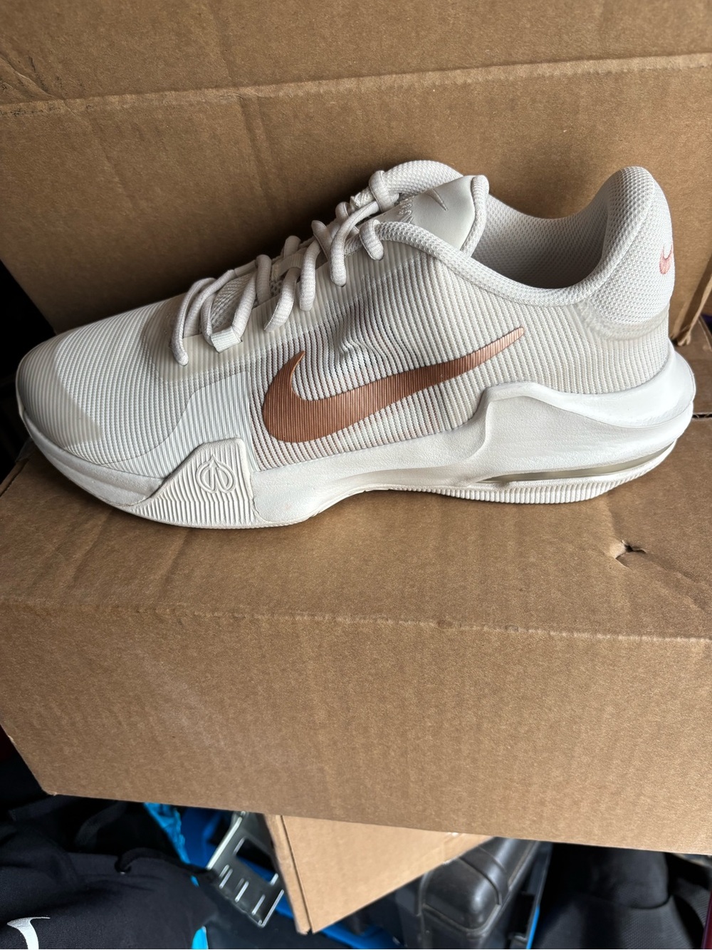 Nike Women’s White Sneaker with Copper Swoosh